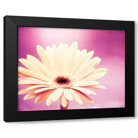 Peachy Keen Black Modern Wood Framed Art Print by Cochrane, Carolyn