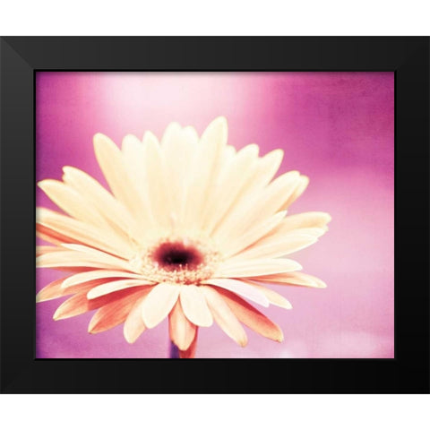 Peachy Keen Black Modern Wood Framed Art Print by Cochrane, Carolyn