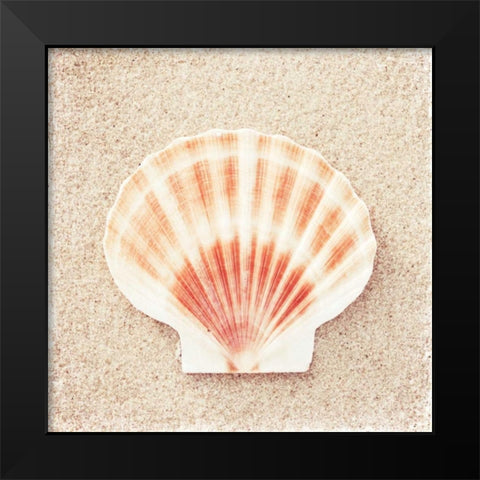 Scallop Shell Black Modern Wood Framed Art Print by Cochrane, Carolyn