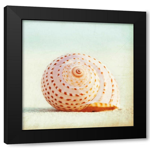 Seashell Voices Black Modern Wood Framed Art Print by Cochrane, Carolyn