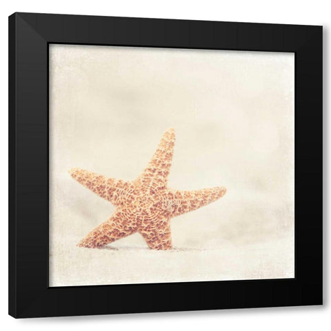 Serendipity Black Modern Wood Framed Art Print by Cochrane, Carolyn