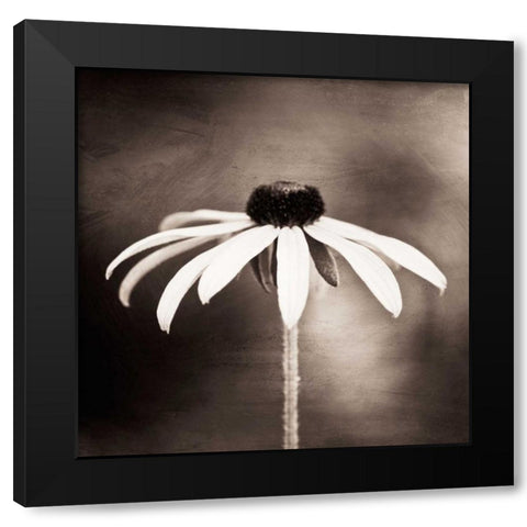 Simply Stated Black Modern Wood Framed Art Print by Cochrane, Carolyn