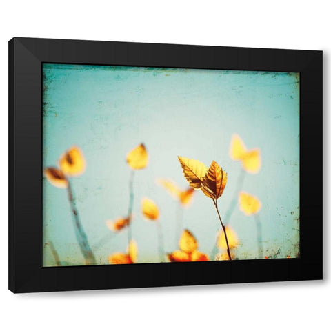 Sundance Black Modern Wood Framed Art Print by Cochrane, Carolyn
