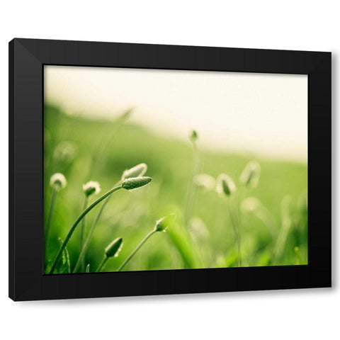 The Dance Black Modern Wood Framed Art Print with Double Matting by Cochrane, Carolyn