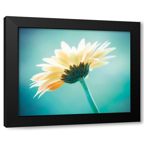 Vanity Black Modern Wood Framed Art Print by Cochrane, Carolyn