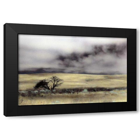 Limantour Marsh Black Modern Wood Framed Art Print by Culver, Laura