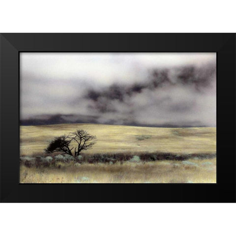 Limantour Marsh Black Modern Wood Framed Art Print by Culver, Laura