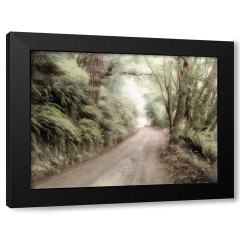 Lost Coast Road Black Modern Wood Framed Art Print with Double Matting by Culver, Laura