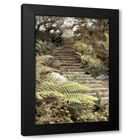 Secret Steps Black Modern Wood Framed Art Print by Culver, Laura