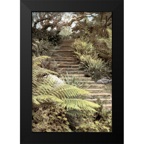 Secret Steps Black Modern Wood Framed Art Print by Culver, Laura