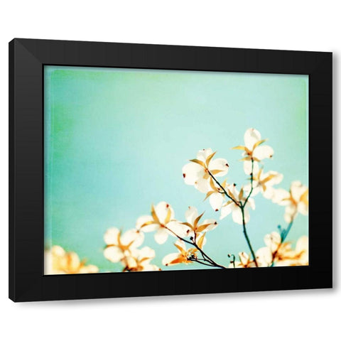 Blossoms Adrift Black Modern Wood Framed Art Print with Double Matting by Cochrane, Carolyn