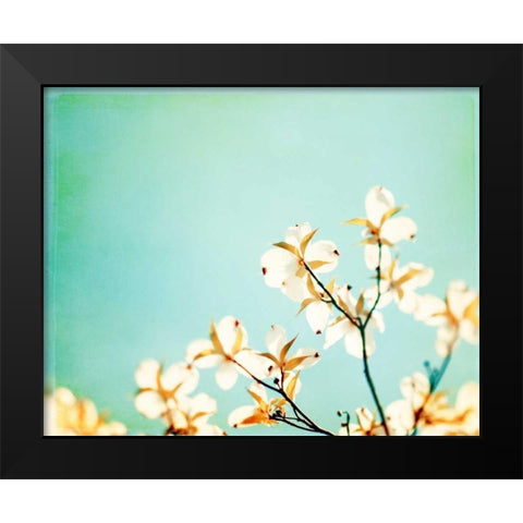 Blossoms Adrift Black Modern Wood Framed Art Print by Cochrane, Carolyn