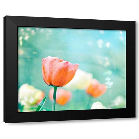 Garden of Dreams Black Modern Wood Framed Art Print by Cochrane, Carolyn