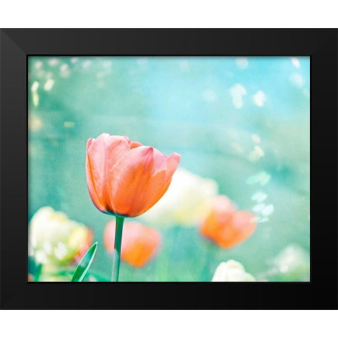 Garden of Dreams Black Modern Wood Framed Art Print by Cochrane, Carolyn