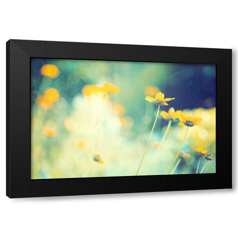 In the Meadow Black Modern Wood Framed Art Print by Cochrane, Carolyn
