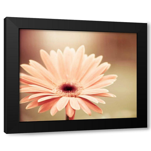 Peachy Keen Black Modern Wood Framed Art Print by Cochrane, Carolyn