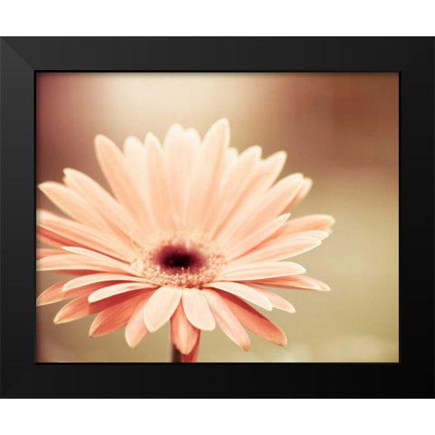 Peachy Keen Black Modern Wood Framed Art Print by Cochrane, Carolyn