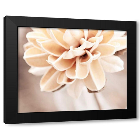 Touched By an Angel Black Modern Wood Framed Art Print with Double Matting by Cochrane, Carolyn