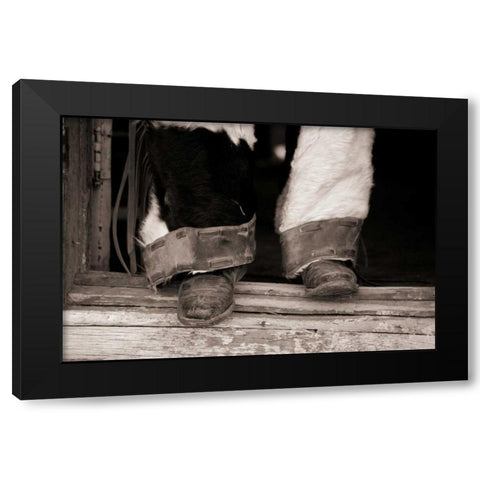 Furry Chaps Black Modern Wood Framed Art Print with Double Matting by Dearing, Lisa