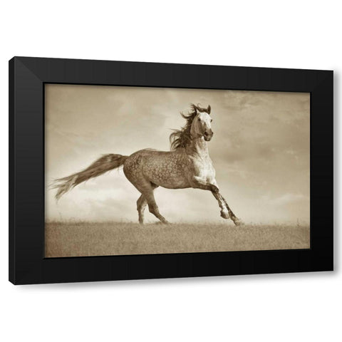 Like The Wind Black Modern Wood Framed Art Print by Dearing, Lisa