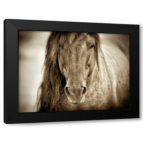 Mustang Sally Black Modern Wood Framed Art Print by Dearing, Lisa