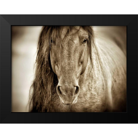 Mustang Sally Black Modern Wood Framed Art Print by Dearing, Lisa