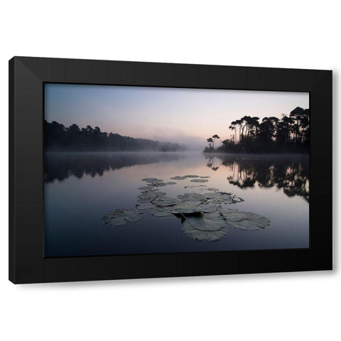 Oisterwijkse Vennen Black Modern Wood Framed Art Print with Double Matting by Dragt, Wilco