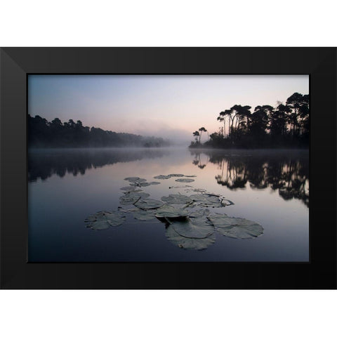 Oisterwijkse Vennen Black Modern Wood Framed Art Print by Dragt, Wilco