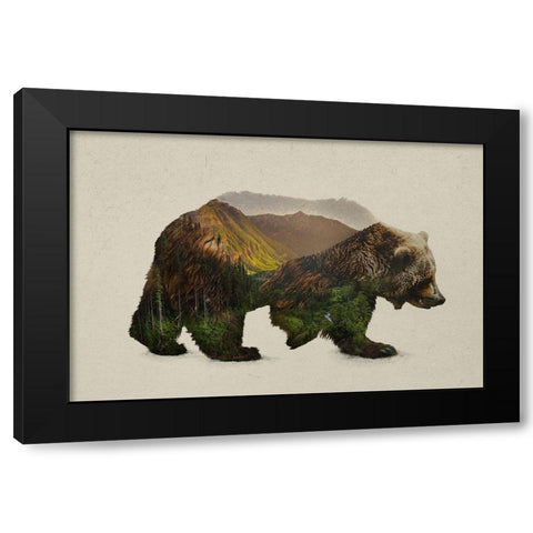 North American Brown Bear Black Modern Wood Framed Art Print with Double Matting by Davies Babies