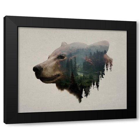 Pacific Northwest Black Bear Black Modern Wood Framed Art Print with Double Matting by Davies Babies