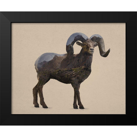 Rocky Mountain Bighorn Black Modern Wood Framed Art Print by Davies Babies