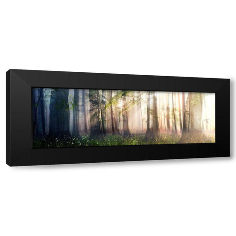 Constancy Black Modern Wood Framed Art Print with Double Matting by Decker, Cynthia