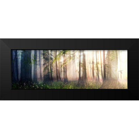 Constancy Black Modern Wood Framed Art Print by Decker, Cynthia