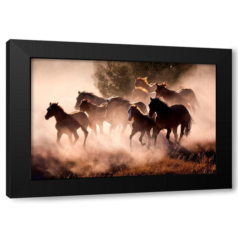 Horses Black Modern Wood Framed Art Print by Dearing, Lisa