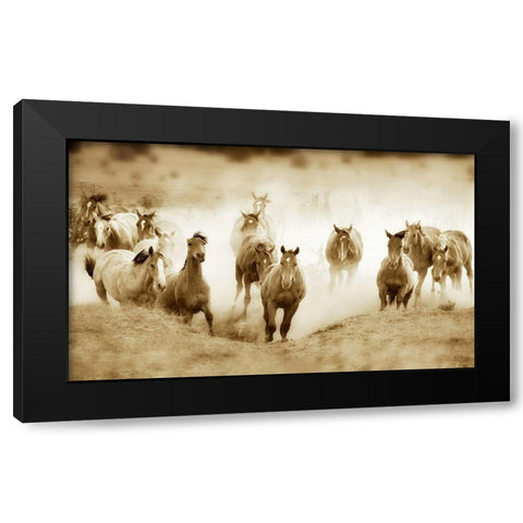 San Cristobol Horses Black Modern Wood Framed Art Print by Dearing, Lisa