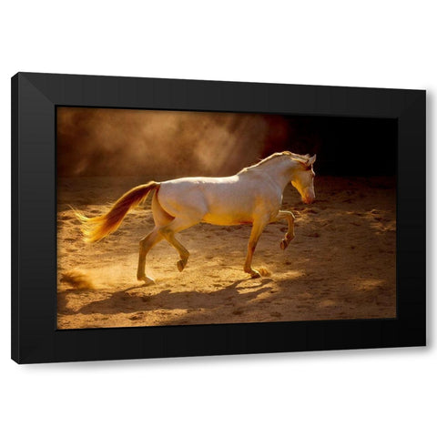 Dancing In The Light Black Modern Wood Framed Art Print by Dearing, Lisa