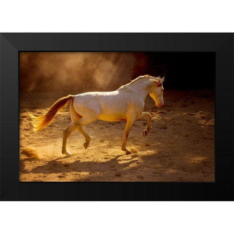 Dancing In The Light Black Modern Wood Framed Art Print by Dearing, Lisa