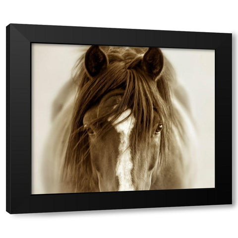 Ghost Horse Black Modern Wood Framed Art Print by Dearing, Lisa