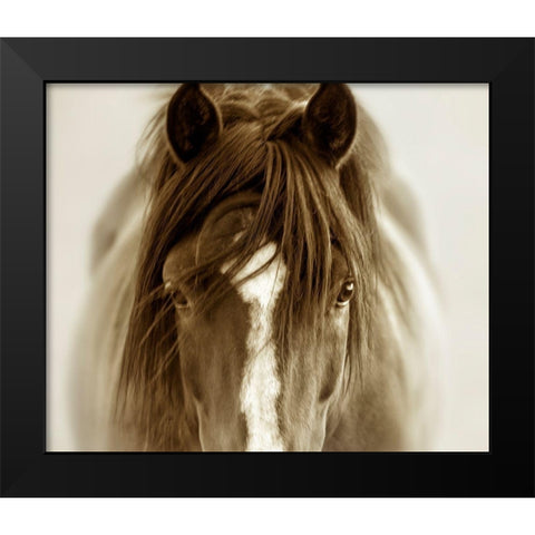 Ghost Horse Black Modern Wood Framed Art Print by Dearing, Lisa