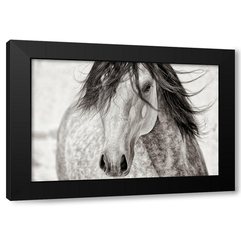 My Beautiful Mane Black Modern Wood Framed Art Print with Double Matting by Dearing, Lisa