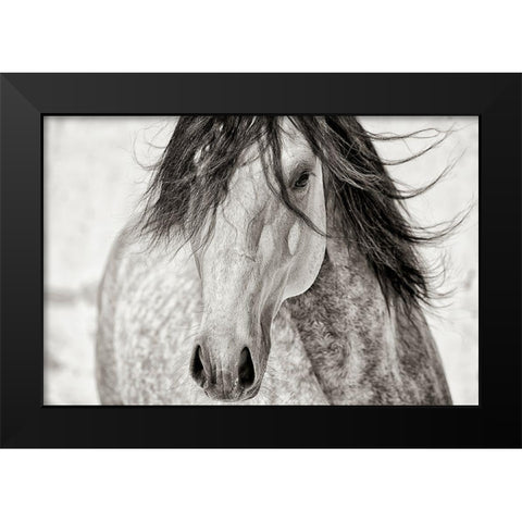 My Beautiful Mane Black Modern Wood Framed Art Print by Dearing, Lisa