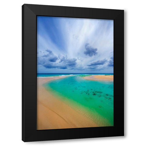 Emerald Dreams Black Modern Wood Framed Art Print with Double Matting by Davis, Lizzy