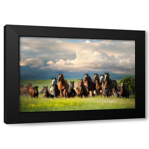 Running Free II Black Modern Wood Framed Art Print by Dearing, Lisa