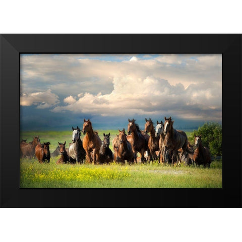 Running Free II Black Modern Wood Framed Art Print by Dearing, Lisa