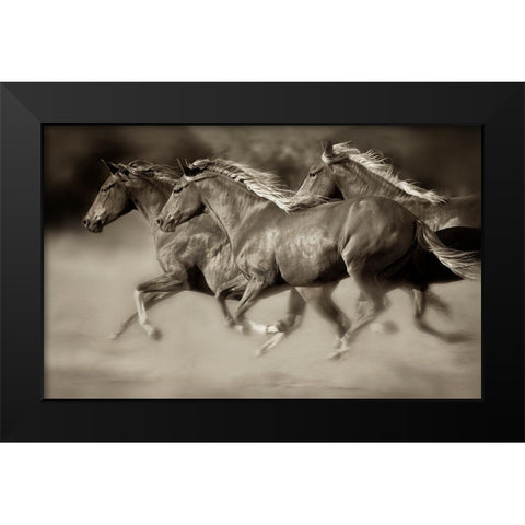 Wind Runners Black Modern Wood Framed Art Print by Dearing, Lisa