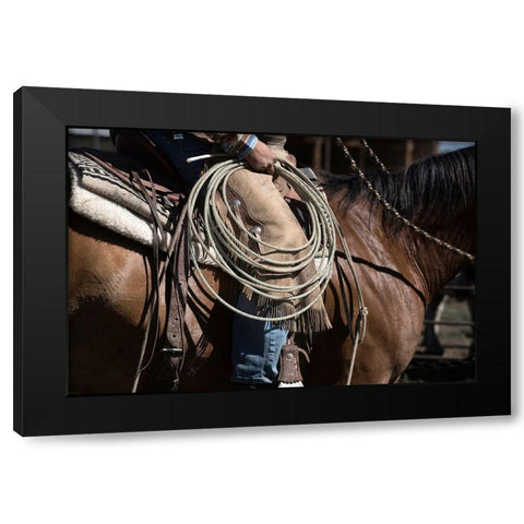 Sierra Style Black Modern Wood Framed Art Print by Dearing, Lisa