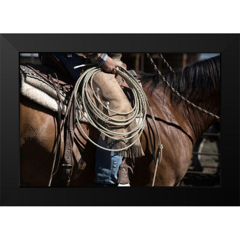 Sierra Style Black Modern Wood Framed Art Print by Dearing, Lisa