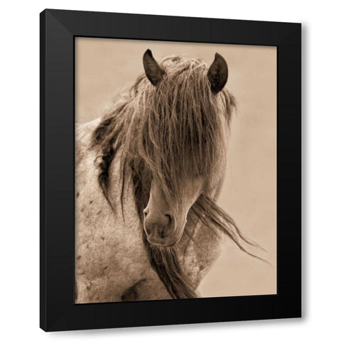 Freedom Black Modern Wood Framed Art Print by Dearing, Lisa