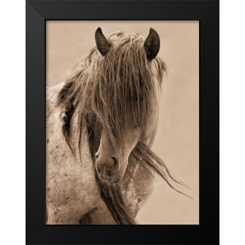 Freedom Black Modern Wood Framed Art Print by Dearing, Lisa