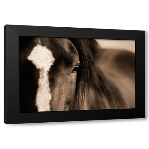 Dark Eyes Black Modern Wood Framed Art Print with Double Matting by Dearing, Lisa